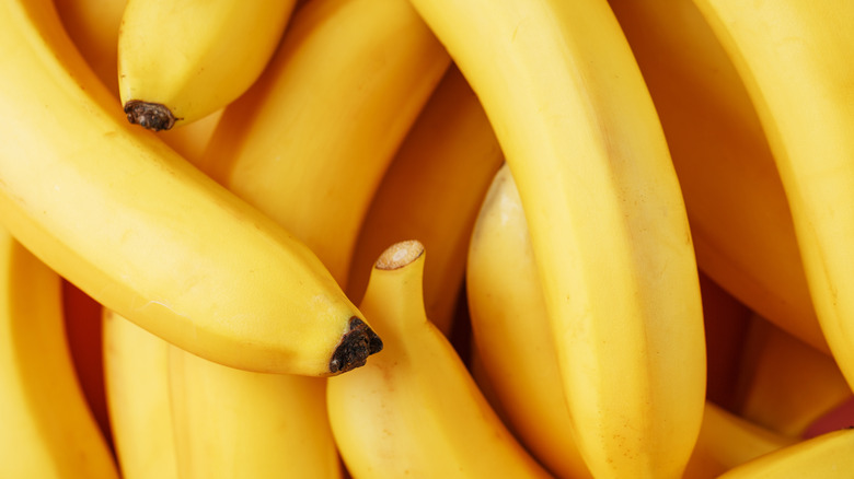 A close-up of ripe, yellow bananas