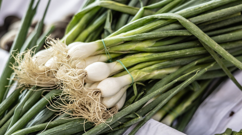 A bunch of spring onions