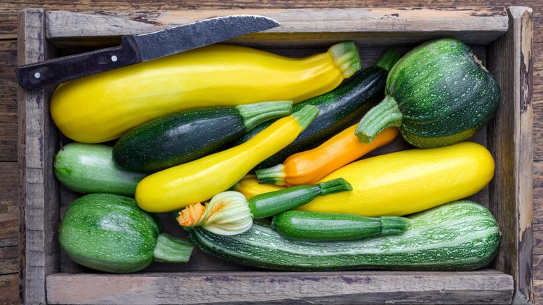 A box of of varieties of zucchini