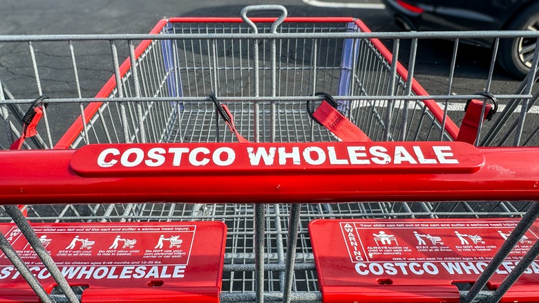 Empty Costco Wholesale shopping cart in a parking lot