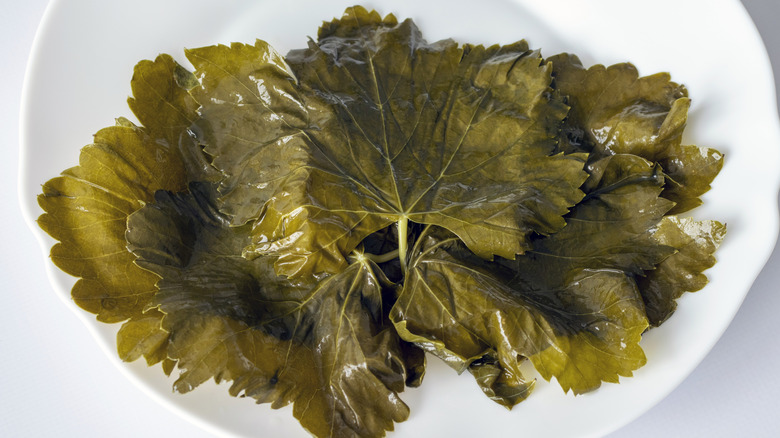 Pickled grape leaves on a white plate