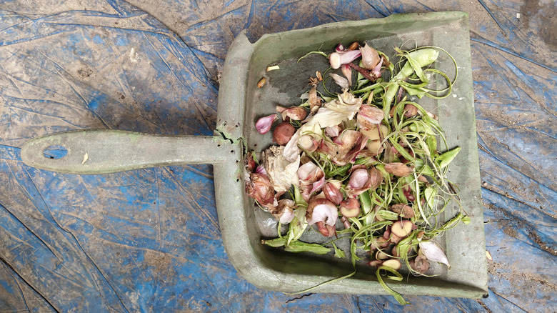 Kitchen food scraps in a dustpan