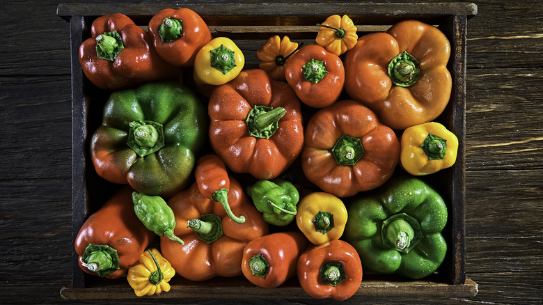 A box of multi colored bell pepper and chili peppers