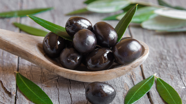 Fresh black mission olives on a wooden spoon with olive leaves