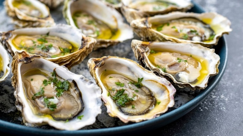 oysters on the half shell sitting in ice