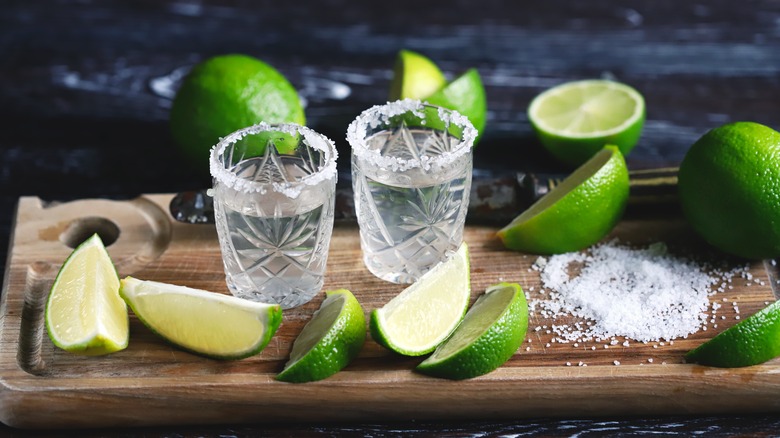 6 Different Types Of Tequila, Explained
