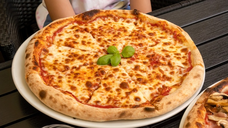 hands extend a cheese pizza with basil