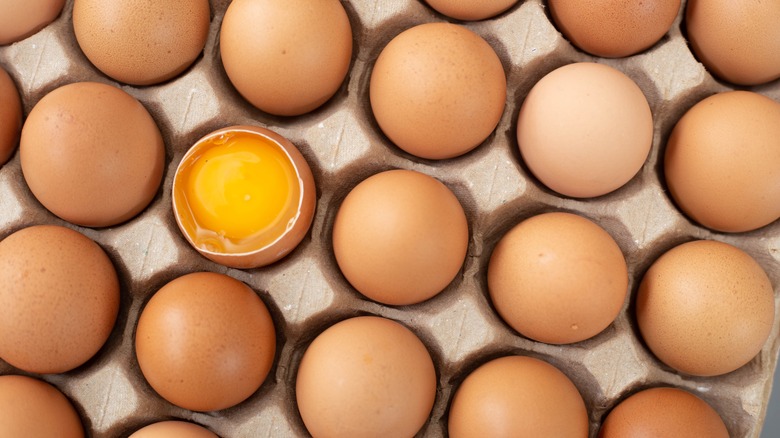 Eggs in a carton