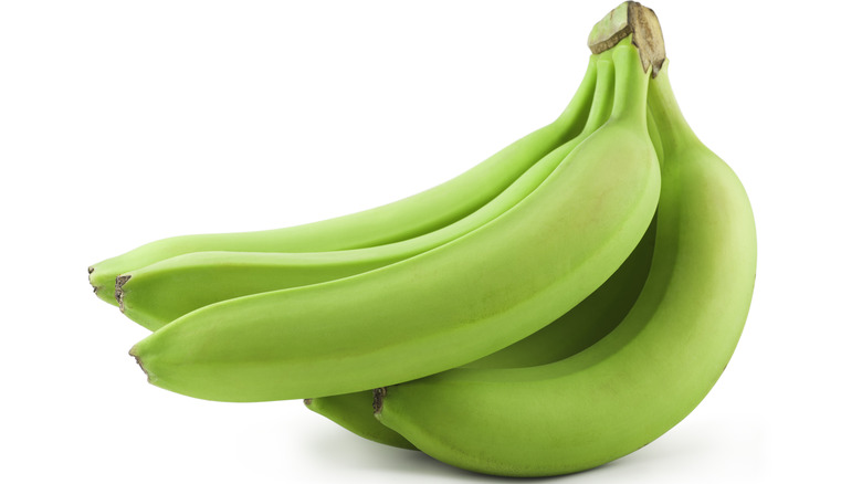 bunch of green under ripe bananas
