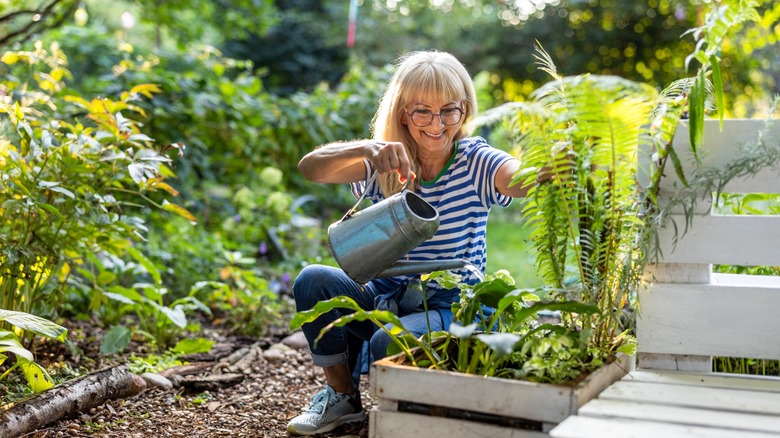 woman with glasses waters box planter
