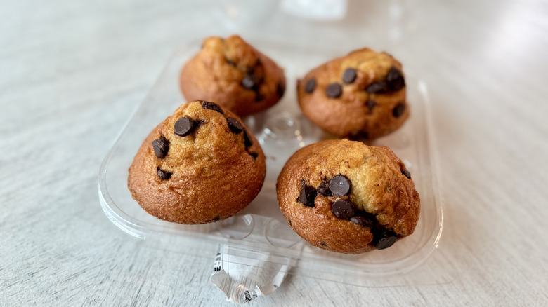 Chocolate Chip Muffins