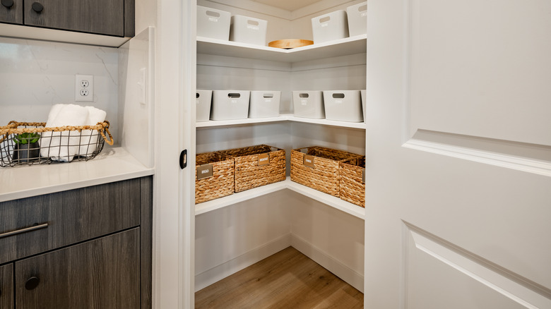 kitchen pantry with open doors showing shelving containing labelled bins