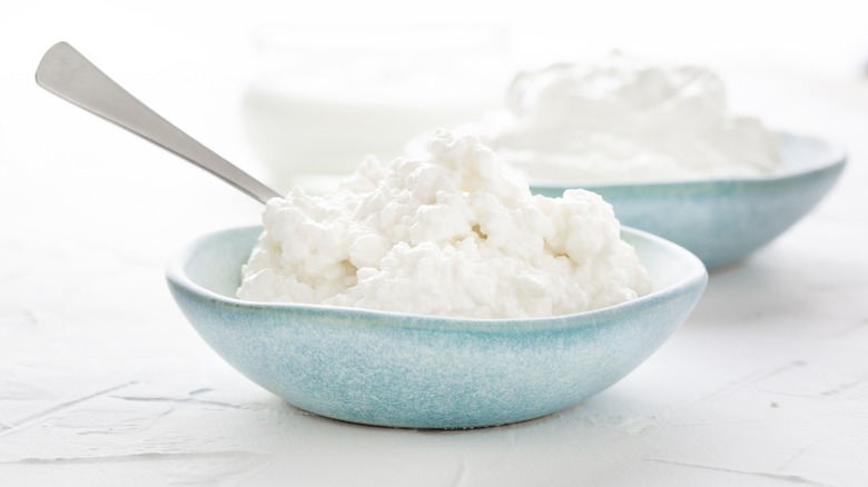 cottage cheese curds in a blue bowl