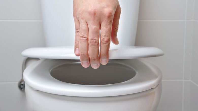 Hand of someone dropping down a toilet lid