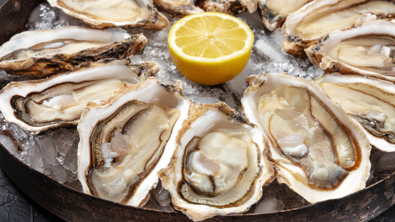 oysters on ice with lemon