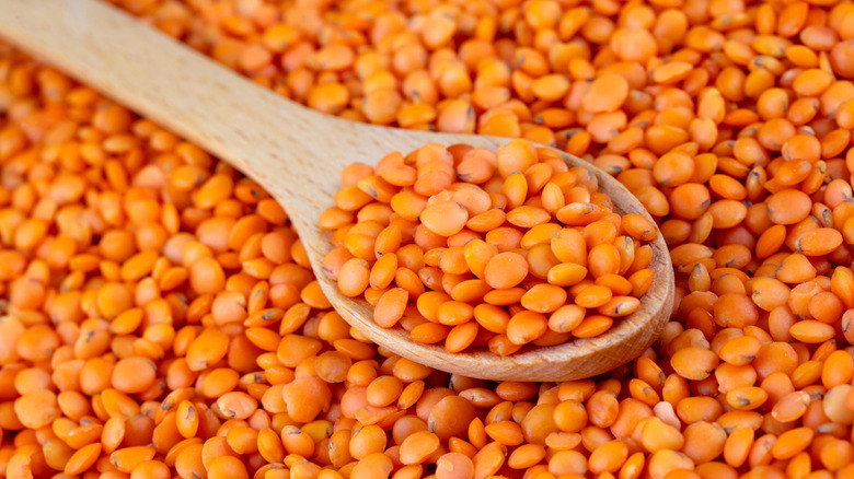 Red lentils in a wooden spoon
