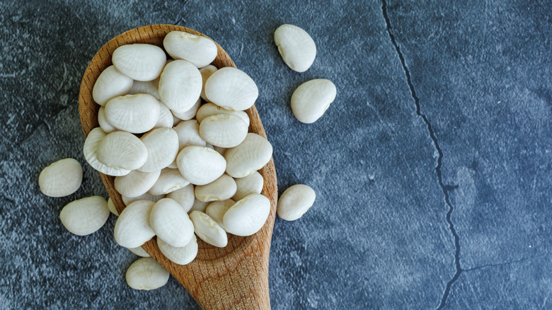 Lima beans in wooden spoon on a grey background