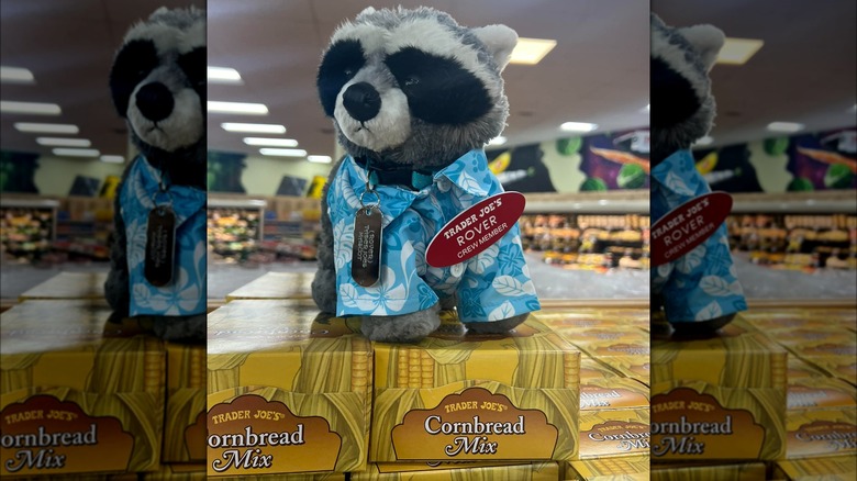 Trader Joe's racoon stuffed animal