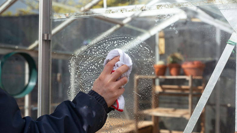 Cleaning a greenhouse