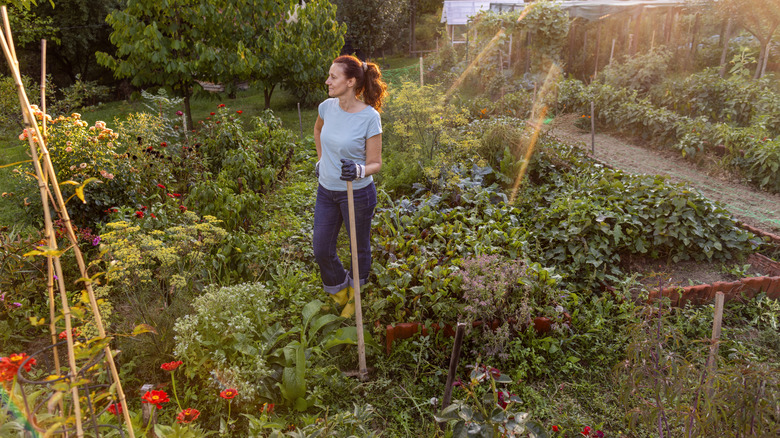 Woman standing in a mature vegetable garden