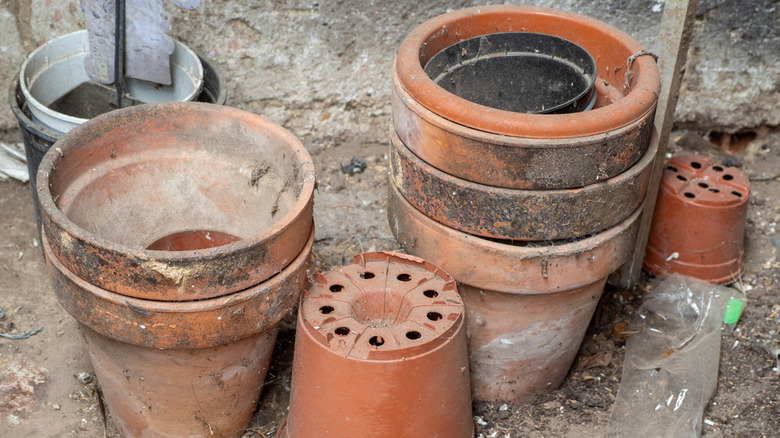 Dirty terracotta and plastic pots