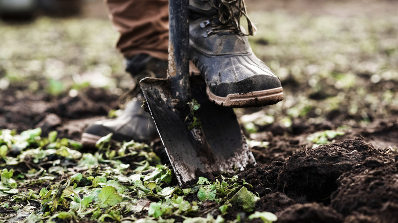 Man digging soil with a shovel