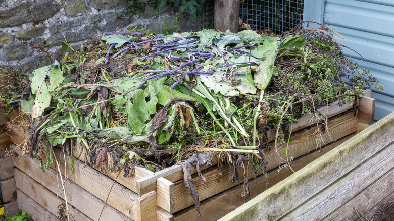 Rotting garden waste in a composter