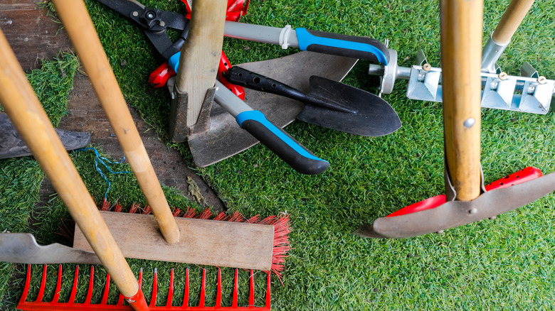 A variety of gardening tools