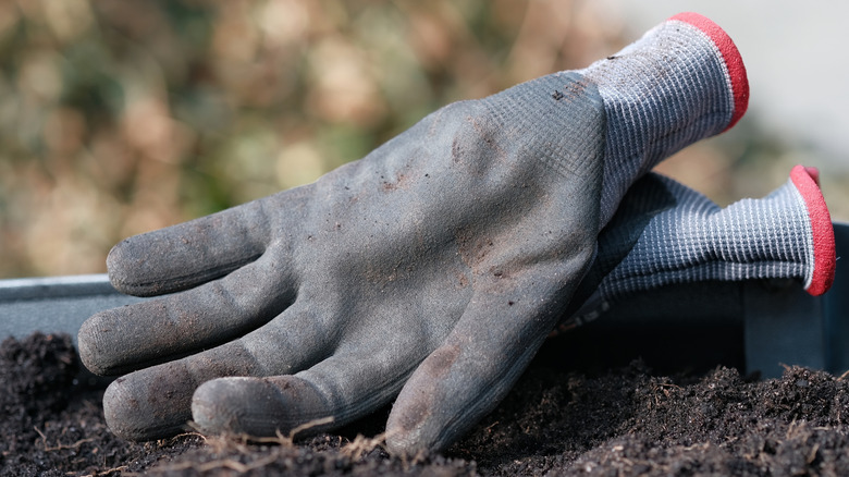 Dirty gardening gloves on soil