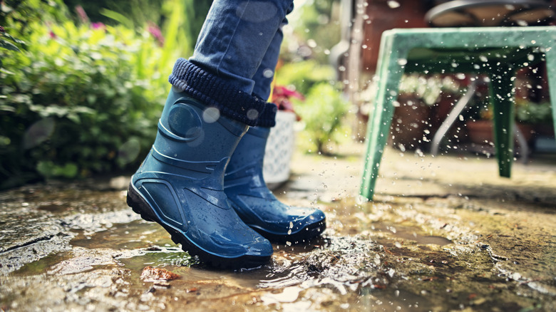 Closeup of galoshes in puddle