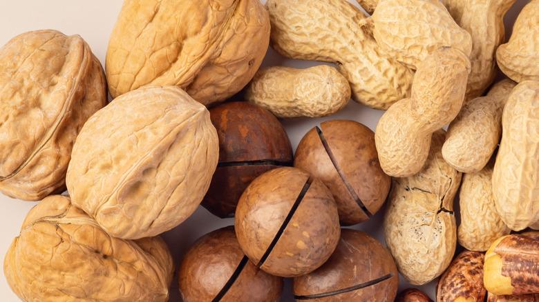 Close up of walnuts, cashews, macadamia, and peanuts