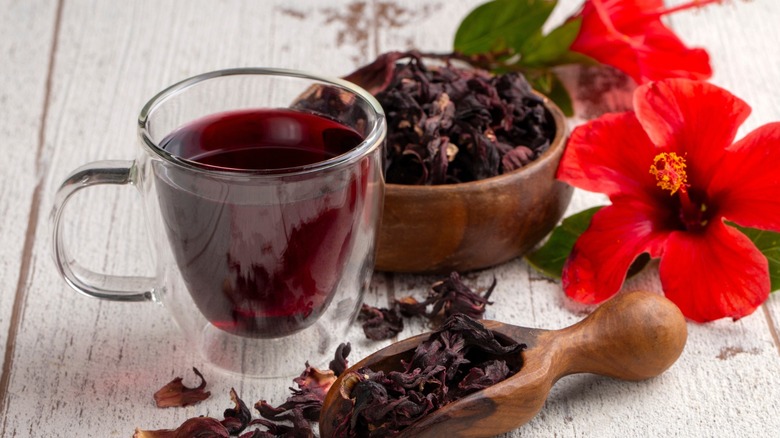 hibiscus tea with fresh and dried flowers