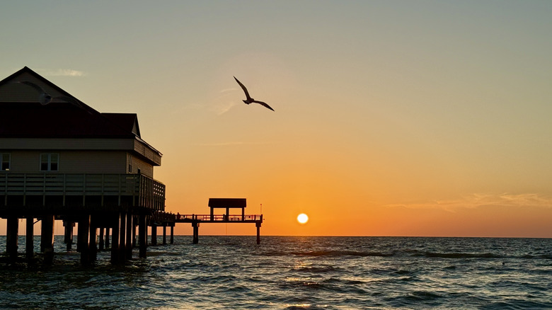 Sunset at pier on Clearwater Beach, Florida, with silhouetted bird in flight.