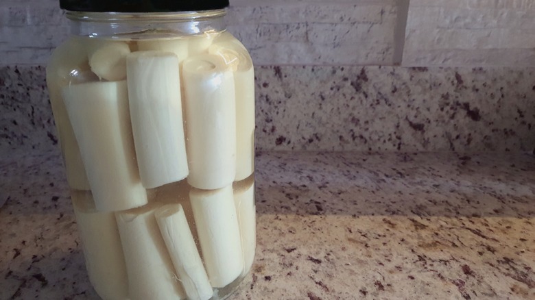 swamp cabbage stalks in pickling liquid