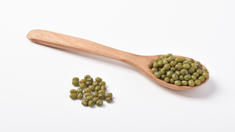 mung beans on a wooden spoon