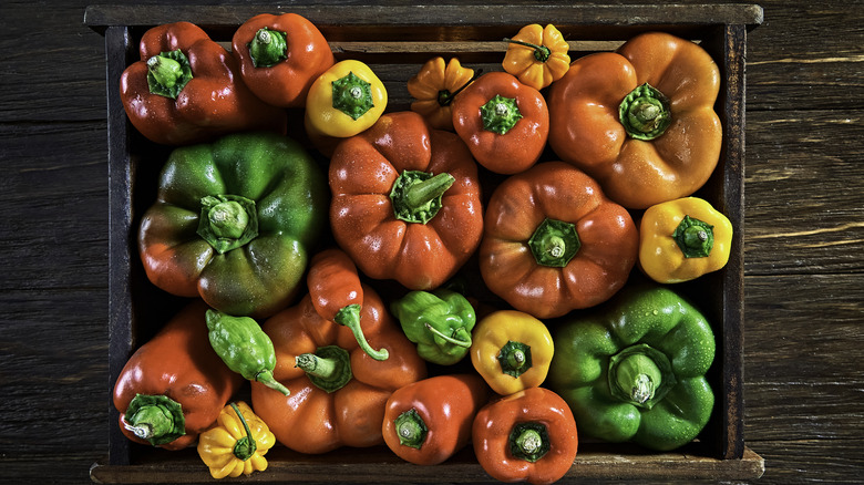 Overhead view of colorful bell peppers