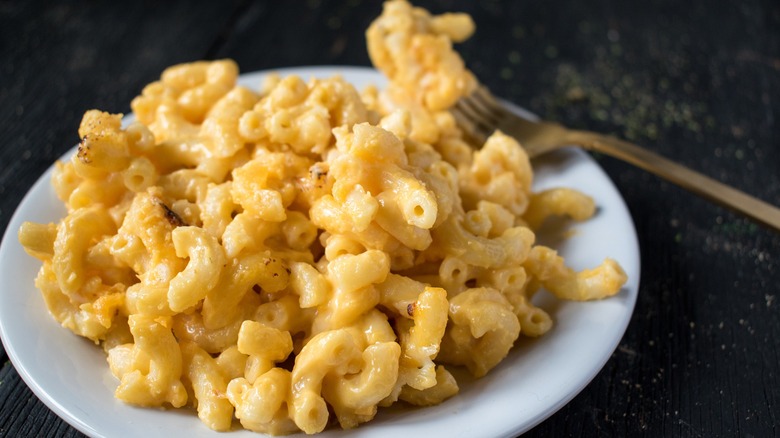 creamy mac and cheese on dish with fork
