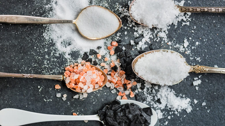 Different kinds of salt in five spoons on a black background