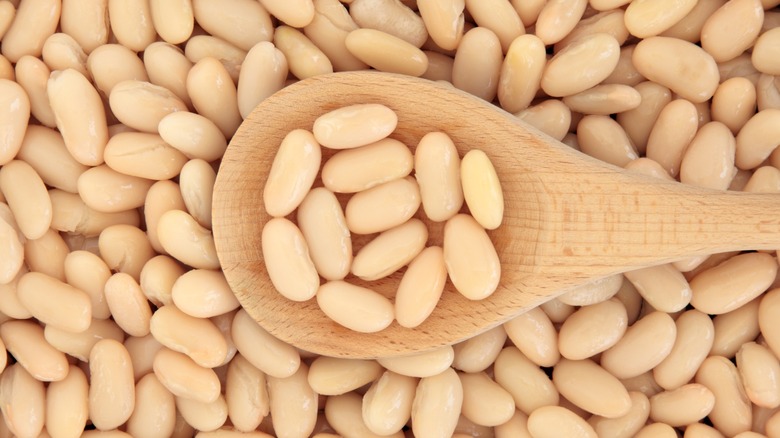 cannellini beans on wooden spoon