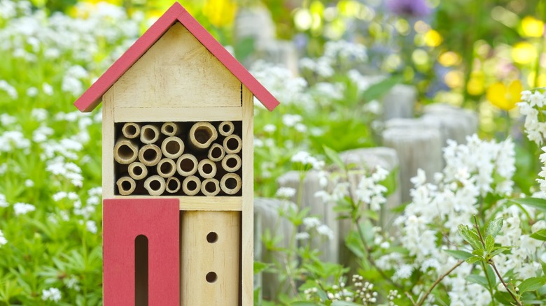 bumblebee hotel in garden with flowers