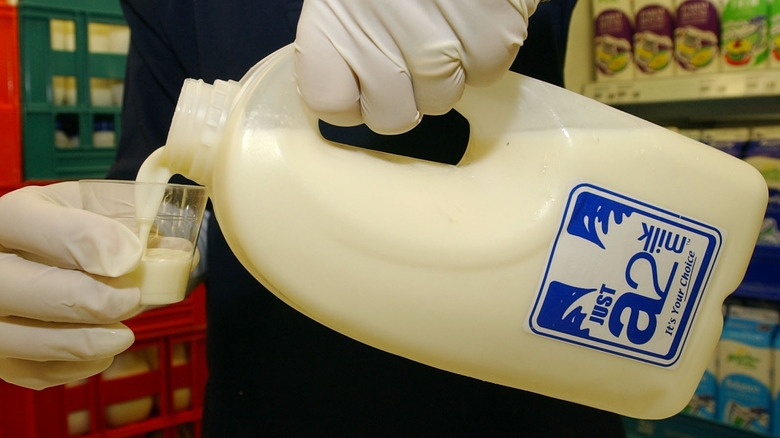A person wearing white protective gloves pouring out A2 milk from a plastic container into a glass