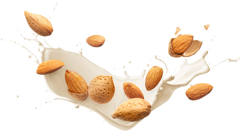 Almonds with milk splash isolated on white background