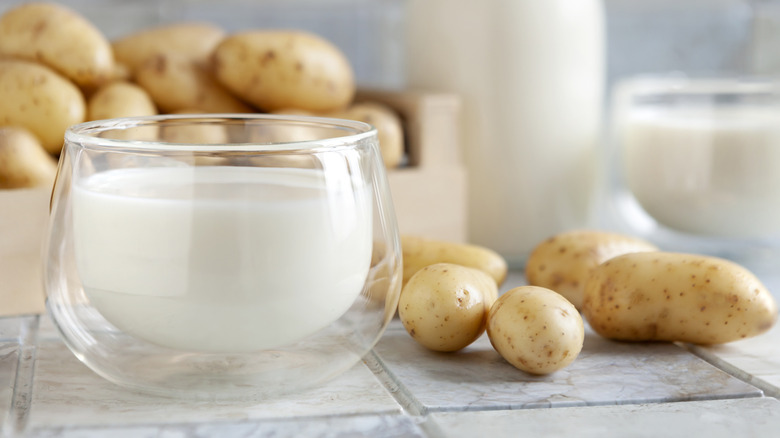 Vegan potato milk in glass and potato on ceramic tile background