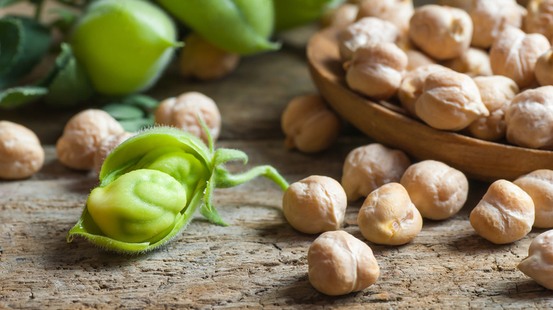 raw green chickpea in its shell next to dried chickpeas