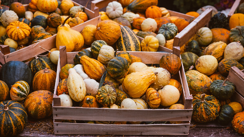 A shot of various decorative fall gourds in wooden baskets