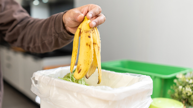 Someone holding a banana skin over a trash bin