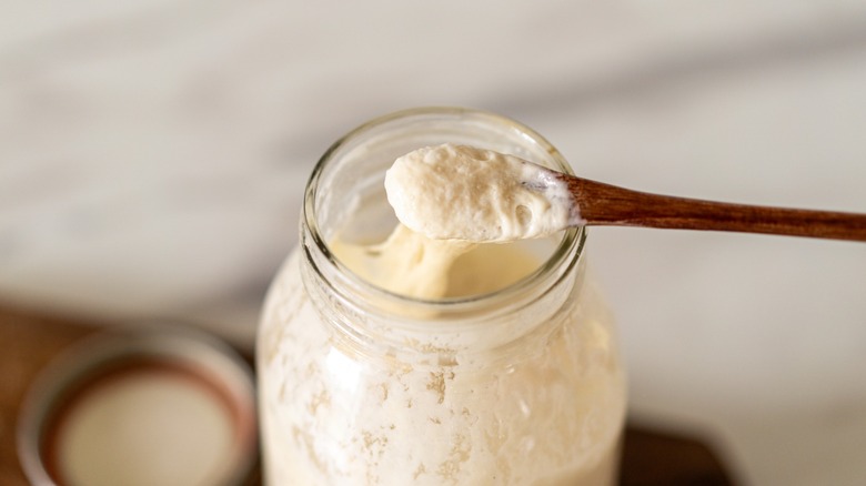 sourdough starter clings to a wooden spoon