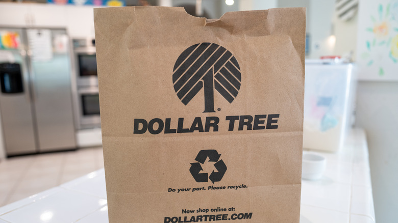 Dollar tree paper bag closeup