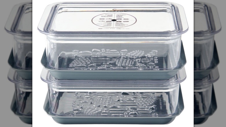 Crofton's Berry or Produce Keeper