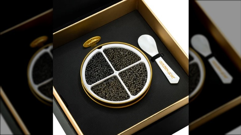 a metal tin with caviar and spoon outside box